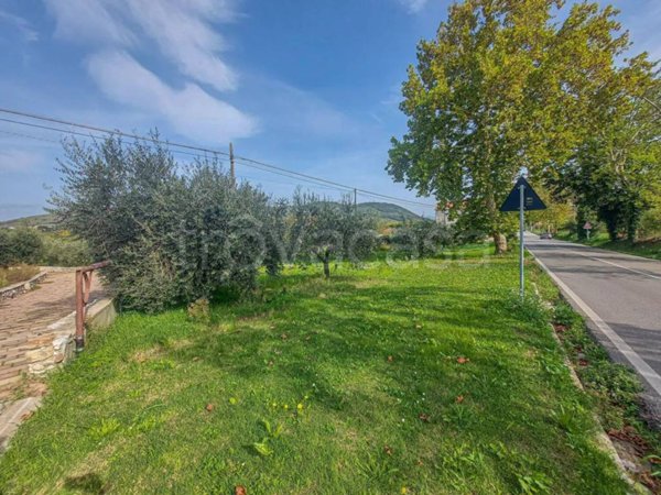 terreno agricolo in vendita a Casoli