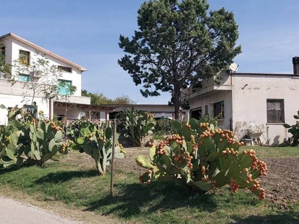casa indipendente in vendita a Casoli in zona Monti