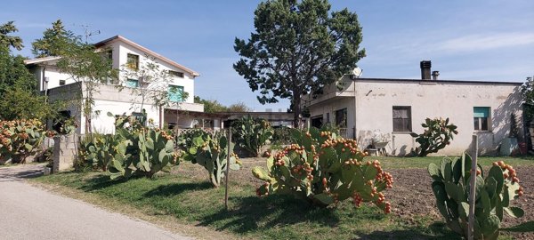 casa indipendente in vendita a Casoli in zona Monti