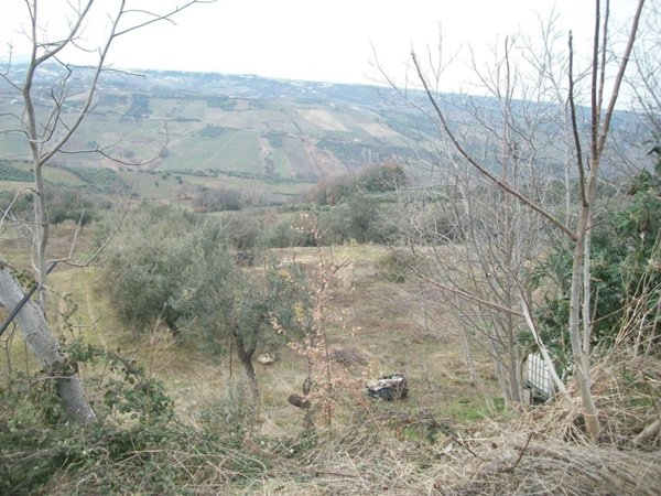 terreno agricolo in vendita a Castel Frentano in zona Colle Ceraso