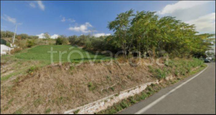 terreno agricolo in vendita a Castel Frentano