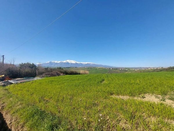 terreno agricolo in vendita a Castel Frentano