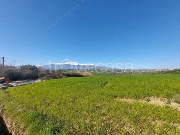terreno agricolo in vendita a Castel Frentano