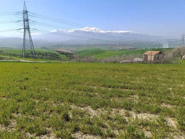terreno agricolo in vendita a Castel Frentano