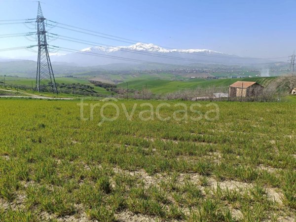terreno agricolo in vendita a Castel Frentano