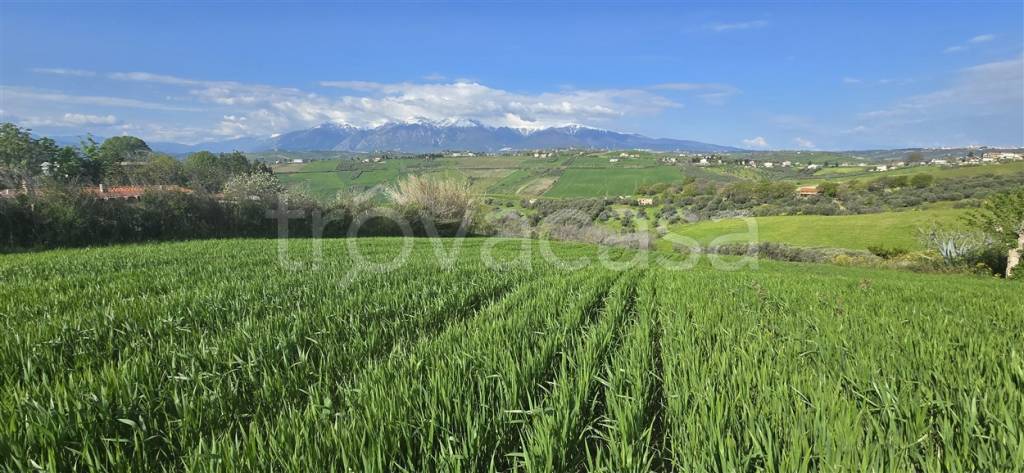 terreno agricolo in vendita a Castel Frentano