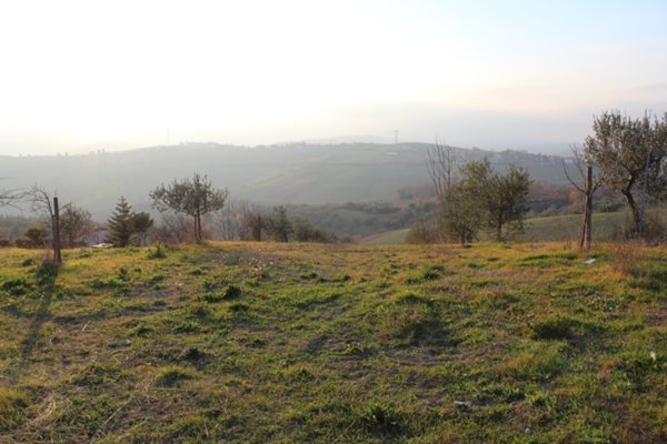 terreno agricolo in vendita a Castel Frentano