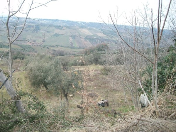 terreno agricolo in vendita a Castel Frentano in zona Colle Ceraso