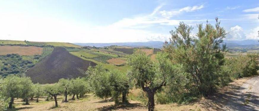 terreno agricolo in vendita a Castel Frentano in zona San Vincenzo