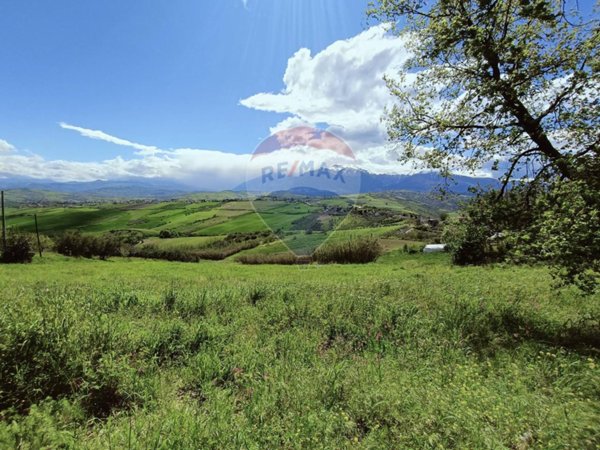 terreno agricolo in vendita a Castel Frentano