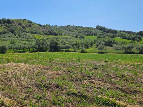 terreno agricolo in vendita a Castel Frentano in zona Colle Ceraso