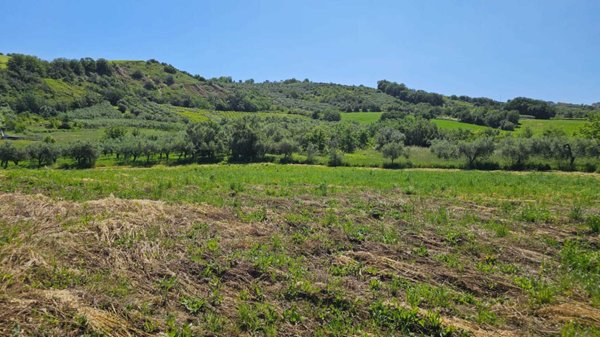 terreno agricolo in vendita a Castel Frentano