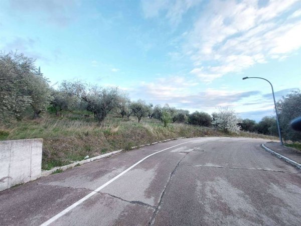 terreno agricolo in vendita a Castel Frentano