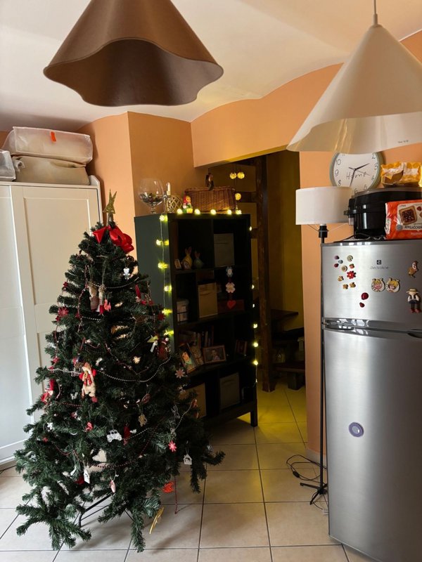 appartamento in vendita a Castel Frentano