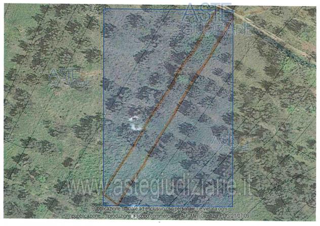 terreno agricolo in vendita a Castel Frentano