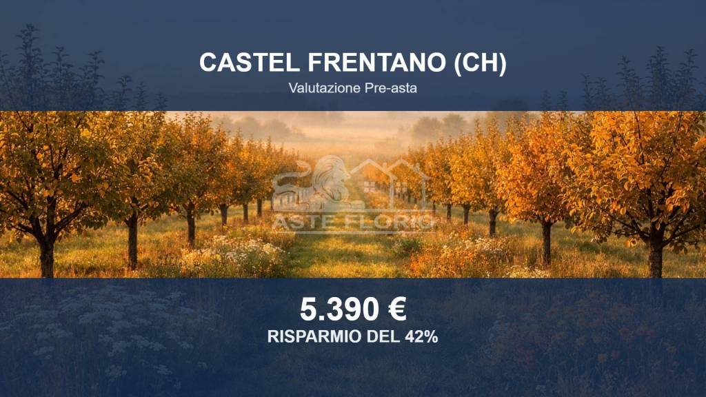 terreno agricolo in vendita a Castel Frentano in zona Trastulli