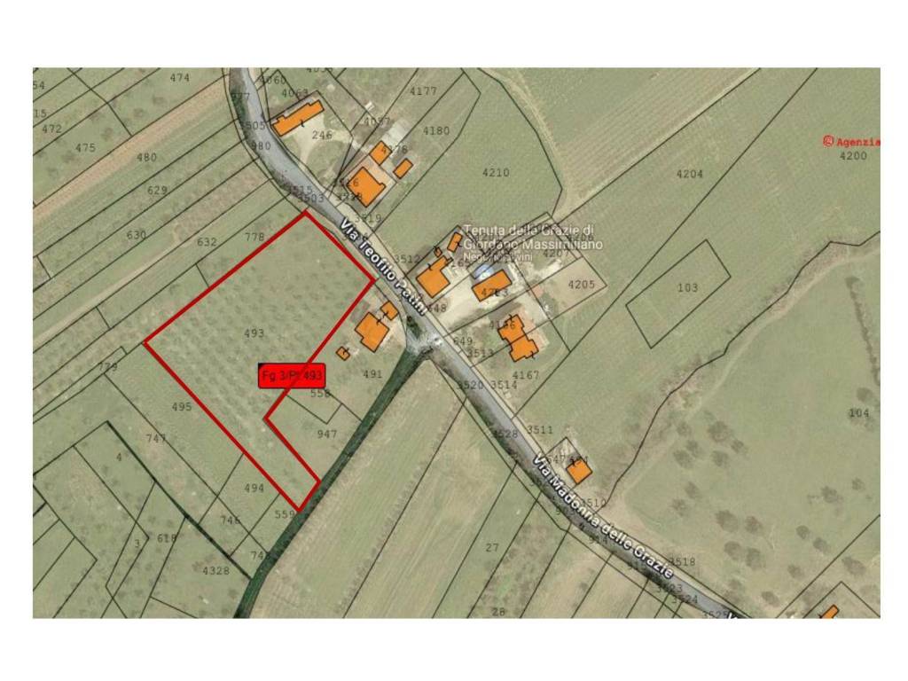 terreno agricolo in vendita a Castel Frentano