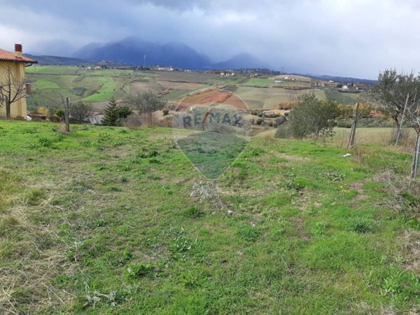 terreno agricolo in vendita a Castel Frentano in zona Porrechi