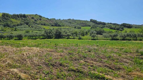 terreno agricolo in vendita a Castel Frentano in zona Colle Ceraso