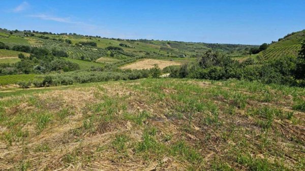 terreno agricolo in vendita a Castel Frentano in zona Colle Ceraso