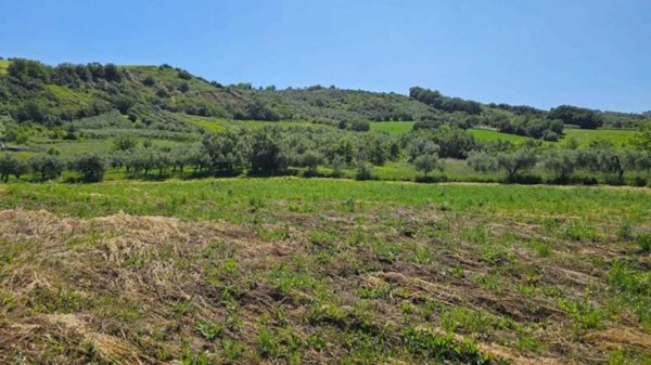 terreno agricolo in vendita a Castel Frentano in zona Colle Ceraso