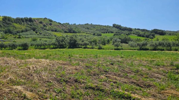 terreno agricolo in vendita a Castel Frentano in zona Pera