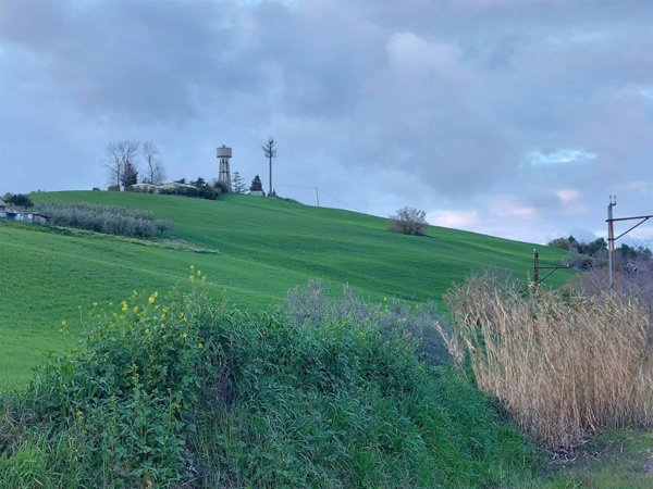terreno agricolo in vendita a Castel Frentano in zona San Rocco