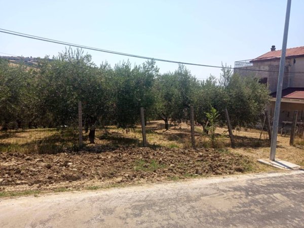 terreno agricolo in vendita a Castel Frentano