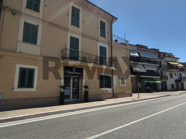 appartamento in vendita a Castel Frentano