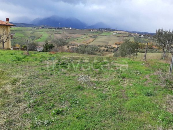 terreno agricolo in vendita a Castel Frentano