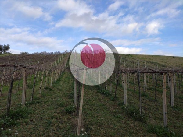 terreno agricolo in vendita a Castel Frentano in zona Pera