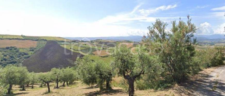 terreno agricolo in vendita a Castel Frentano in zona San Vincenzo