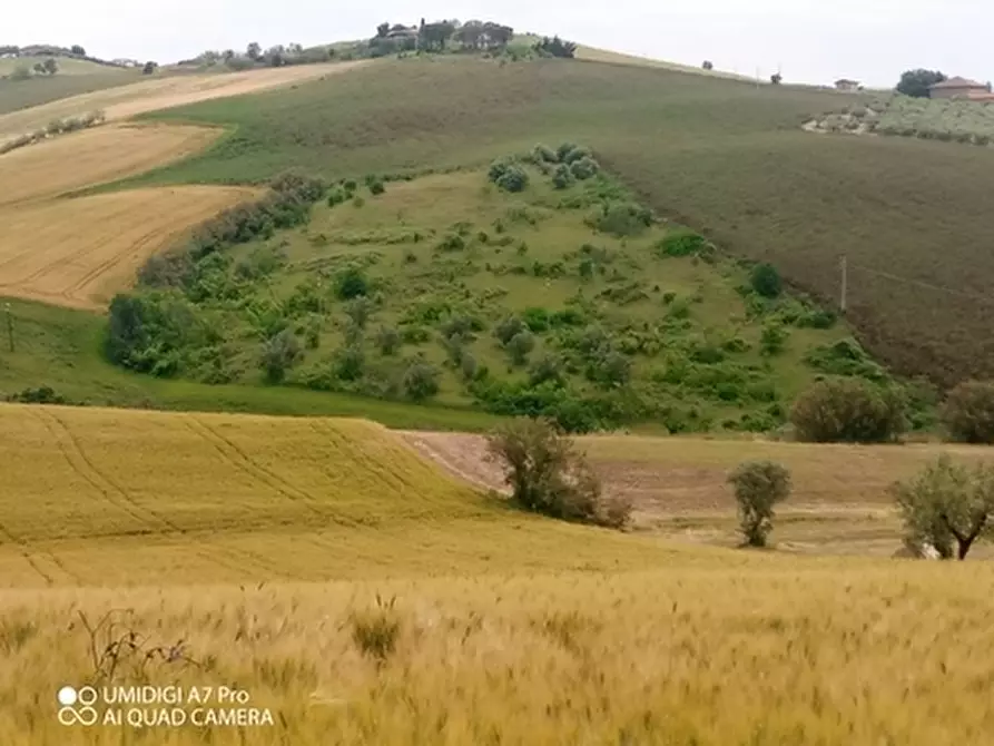 terreno in vendita a Castel Frentano