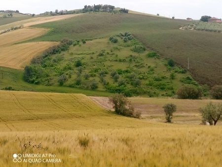 terreno in vendita a Castel Frentano