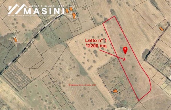 terreno agricolo in vendita a Castel Frentano in zona Trastulli