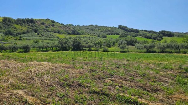 terreno in vendita a Castel Frentano