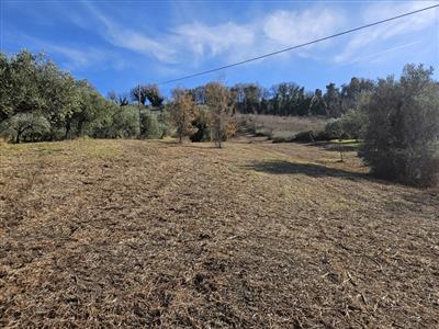 terreno agricolo in vendita a Chieti