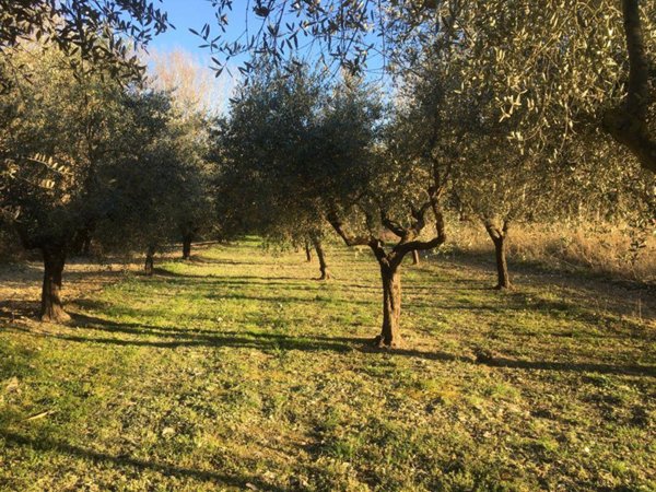terreno agricolo in vendita a Chieti in zona Chieti Scalo