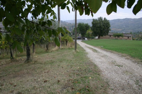 negozio in vendita a Chieti