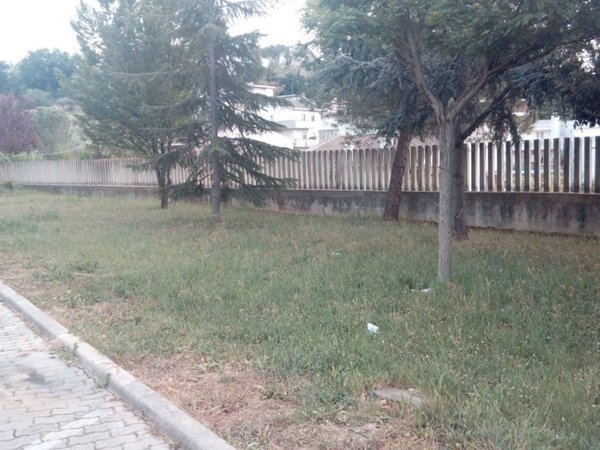 immagine annuncio 0 di 15