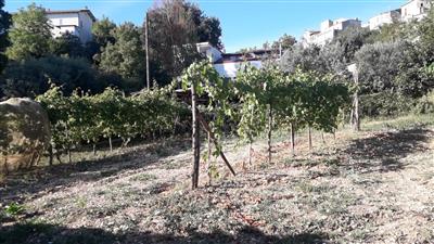 casa indipendente in vendita a Chieti