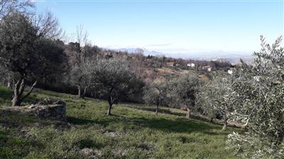 casa indipendente in vendita a Chieti