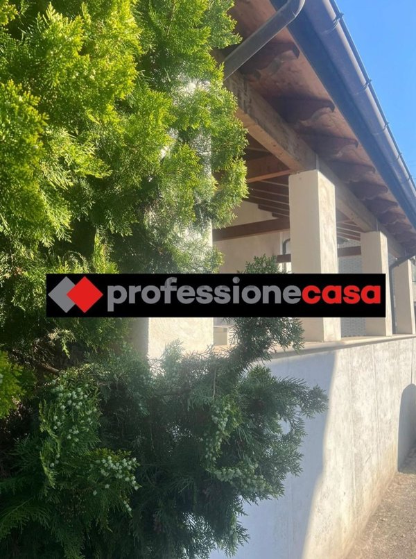 esavano in vendita a Chieti in zona Chieti Scalo
