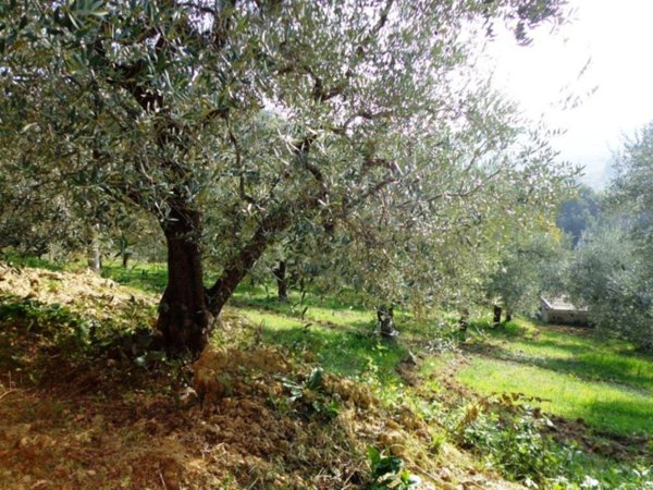 casa indipendente in vendita a Chieti in zona Tricalle
