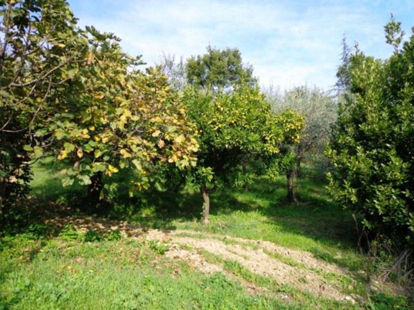 casa indipendente in vendita a Chieti in zona Tricalle