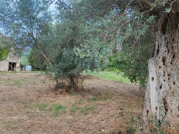 quadrivano in vendita a Chieti in zona Centro Città