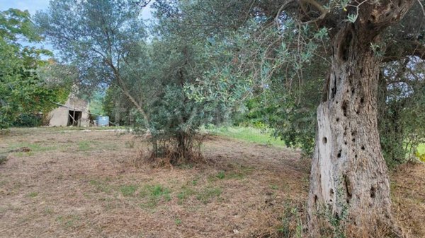 quadrivano in vendita a Chieti in zona Centro Città