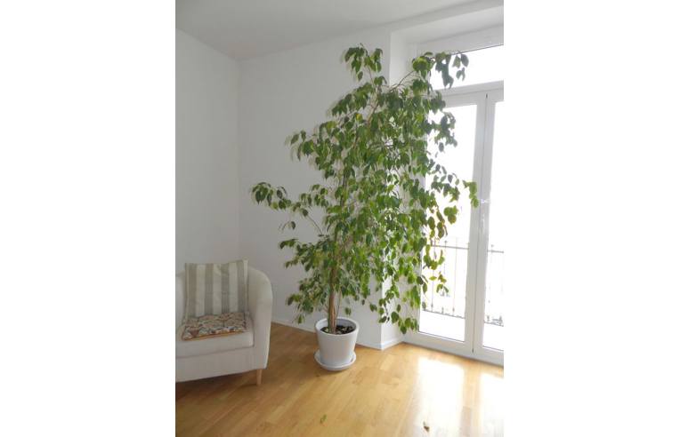 appartamento in vendita a Chieti in zona Centro Città