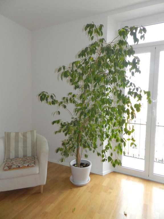 appartamento in vendita a Chieti in zona Centro Città