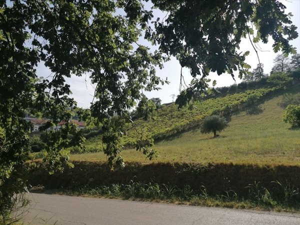 terreno agricolo in vendita a Chieti